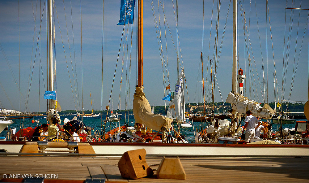 royal Cup Cannes 2012